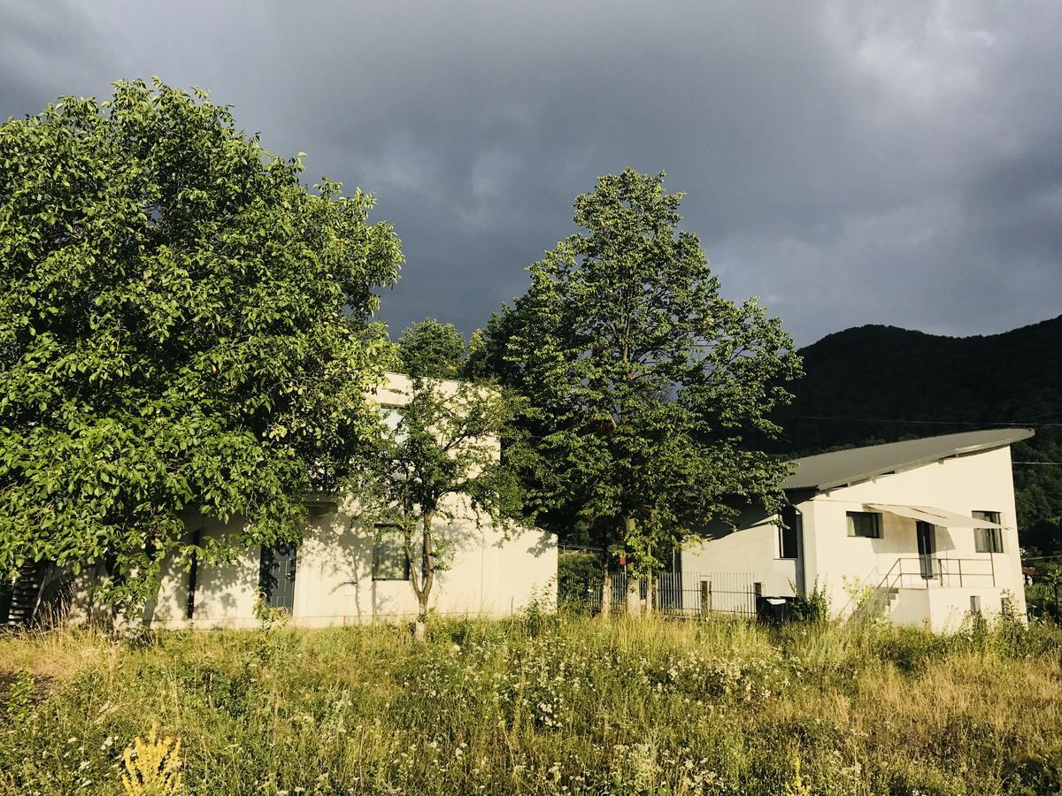 Vila Blanca Alexandru cel Bun Exteriör bild